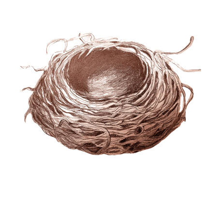 Nest Theater